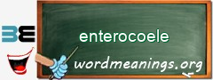 WordMeaning blackboard for enterocoele